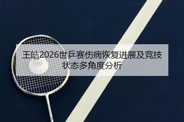 wang-hao-shi-ping-sai-shang-bing-hui-fu-jin-zhan-ji-jing-ji-zhuang-tai-duo-jiao-du-fen-xi-2-185.jpg